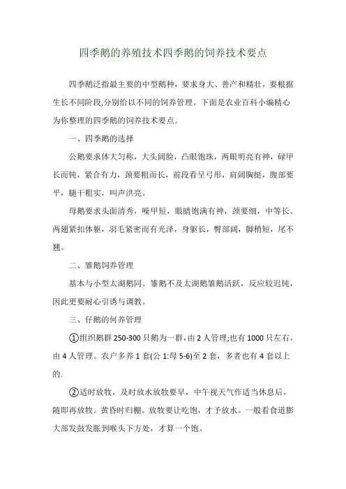 四季鹅的养殖技术 四季鹅的饲养技术要点