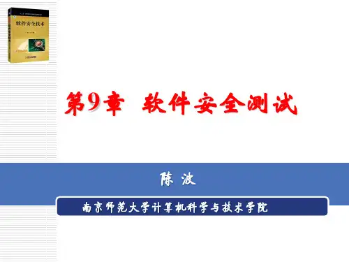 软件安全测试