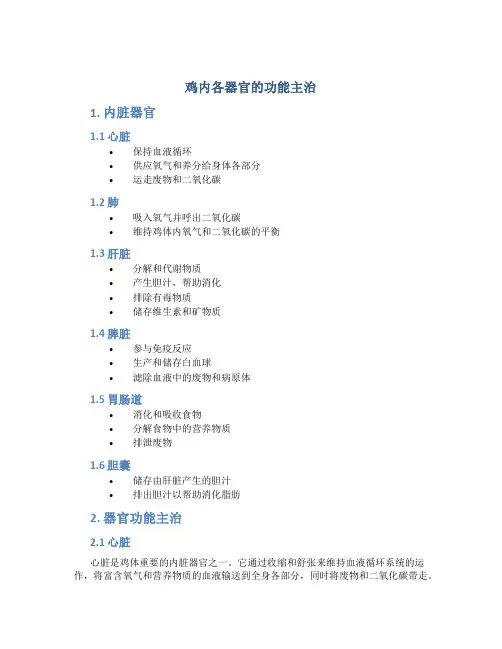 鸡内各器官的功能主治