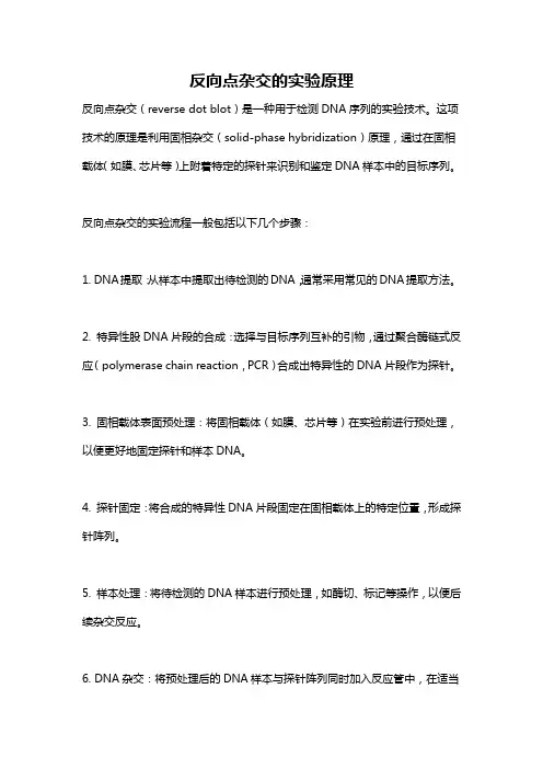 反向点杂交的实验原理