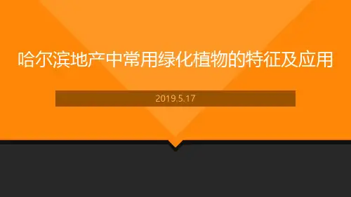 哈尔滨地产中常用植物的特征及应用
