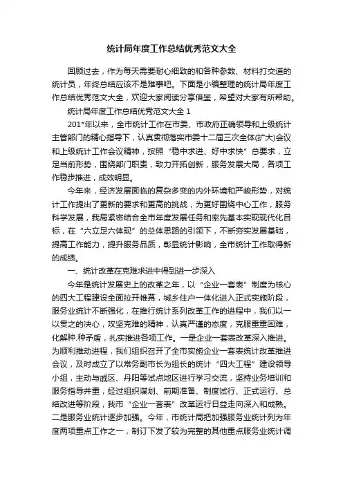 统计局年度工作总结优秀范文大全