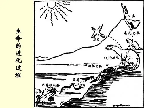 史前时期的人类