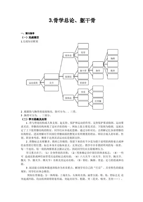 人体形态学-躯干骨、颅骨习题