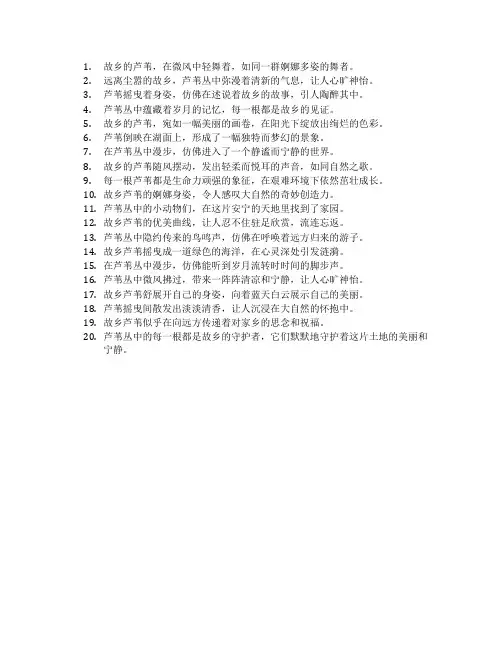 故乡的芦苇好词好句摘抄