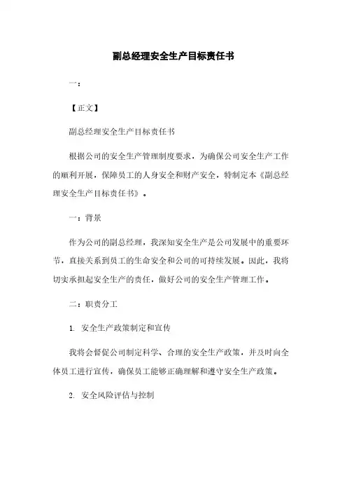 副总经理安全生产目标责任书