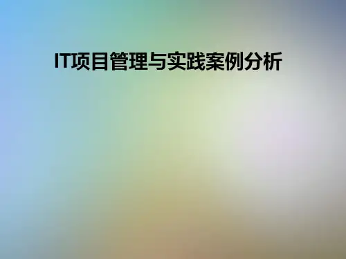 IT项目管理与实践案例分析