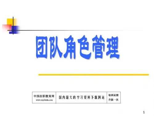 团队角色管理 (2)