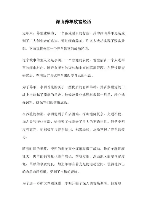 深山养羊致富经历