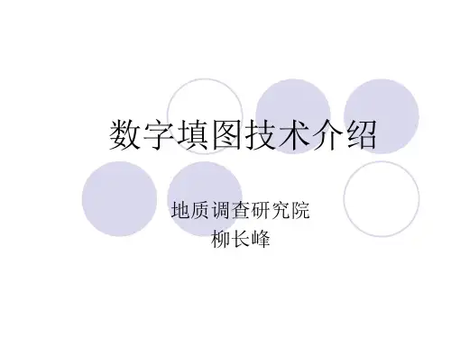 柳长峰博士数字填图方法