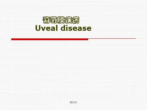 葡萄膜疾病 PPT
