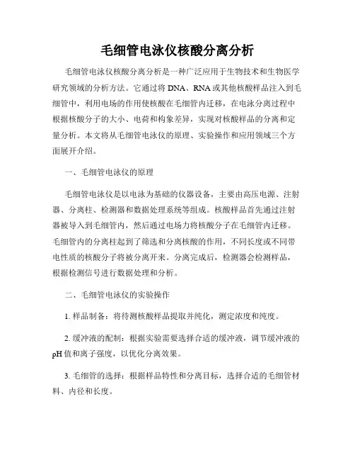 毛细管电泳仪核酸分离分析