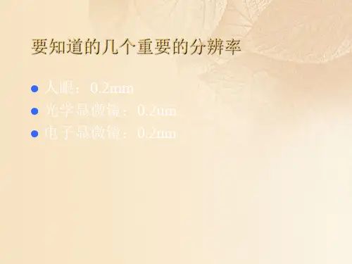 第三章普通光学显微镜的原理与使用