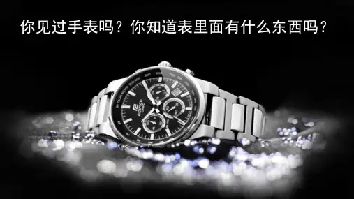 《表里的生物》优质公开课课件ppt