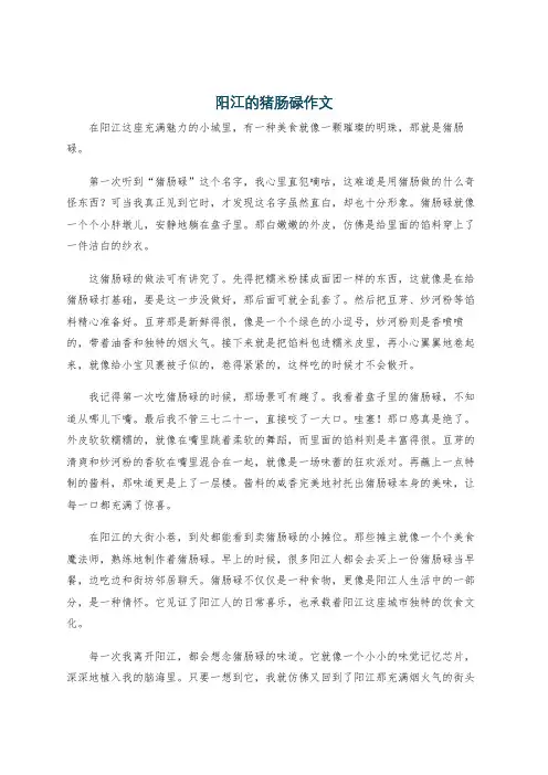 阳江的猪肠碌作文