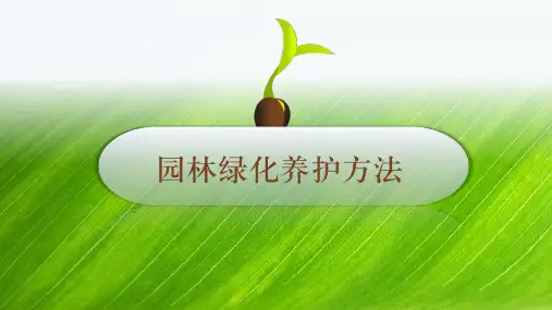 绿化园林景观植物养护PPT
