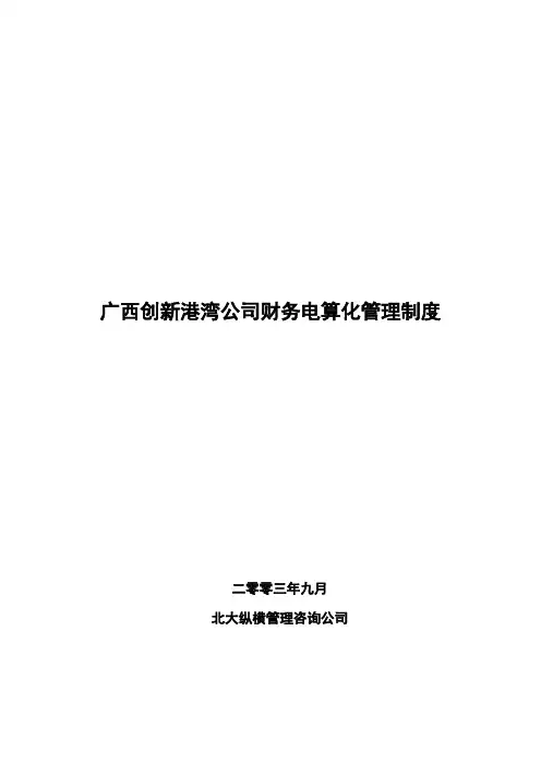 公司财务电算化管理制度