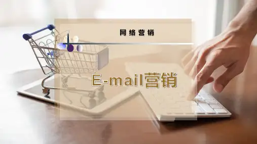 E-mail营销