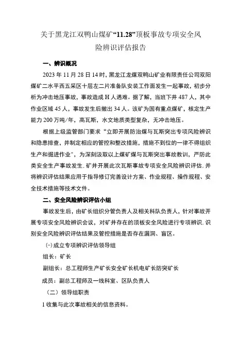 关于黑龙江双鸭山煤矿“11.28”顶板事故专项安全风险辨识评估报告