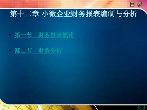 小微企业财务报表编制与分析
