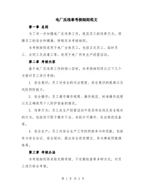 电厂反违章考核细则范文