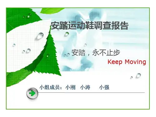 安踏运动鞋调查报告分析
