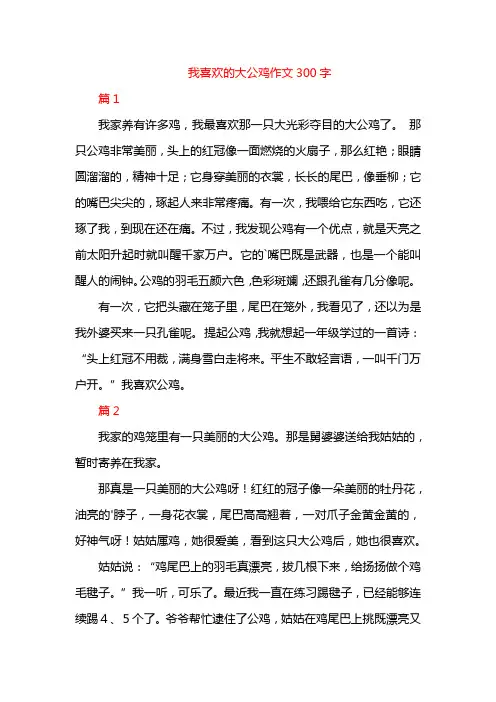 我喜欢的大公鸡作文300字
