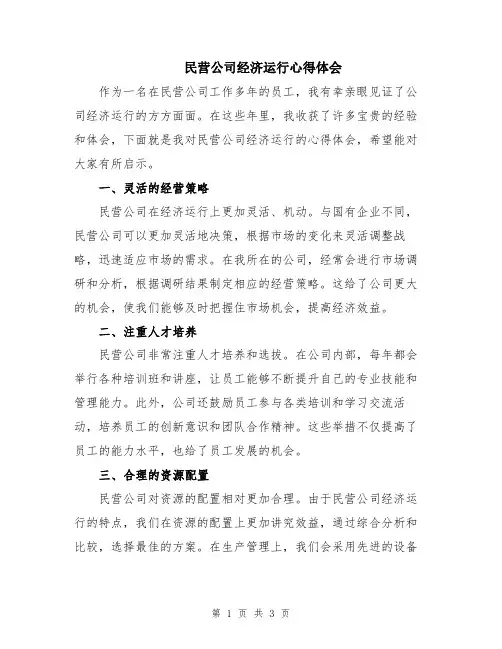 民营公司经济运行心得体会