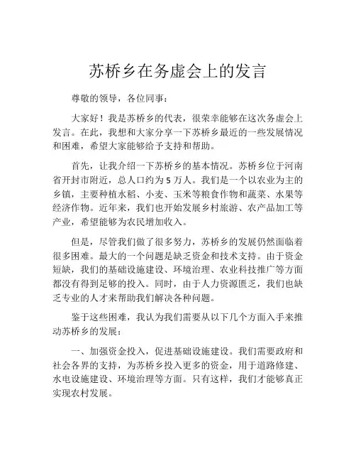 苏桥乡在务虚会上的发言