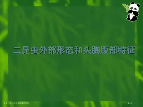 二昆虫外部形态和头胸腹部特征