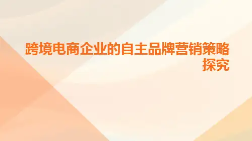 跨境电商企业的自主品牌营销策略探究