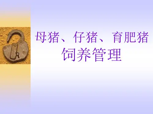 母猪仔猪育肥猪饲养管理