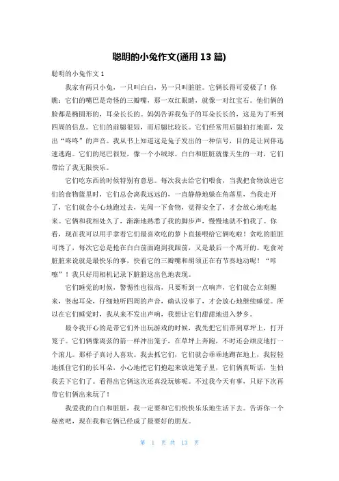 聪明的小兔作文(通用13篇)
