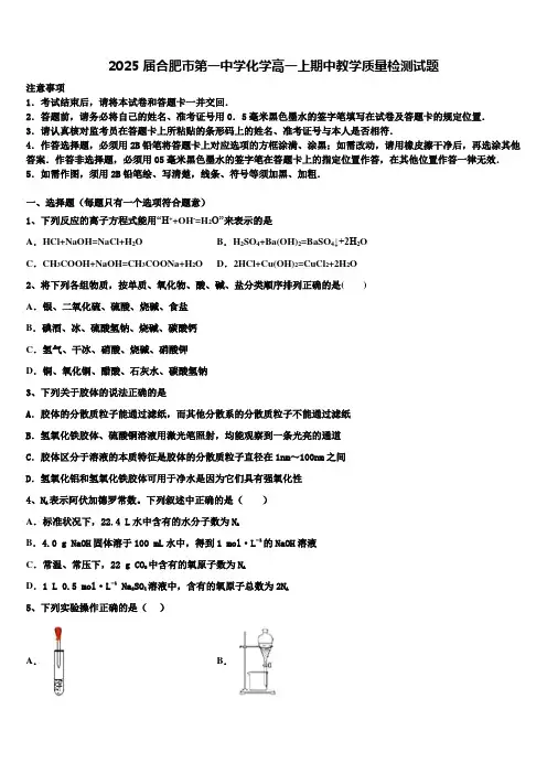 2025届合肥市第一中学化学高一上期中教学质量检测试题含解析
