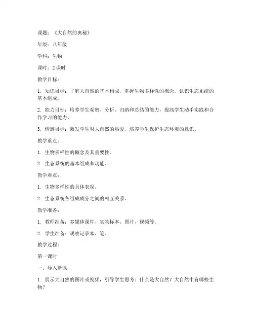 初中精彩课堂教案模板范文