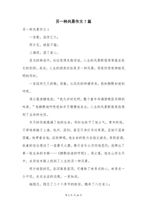 另一种风景作文7篇
