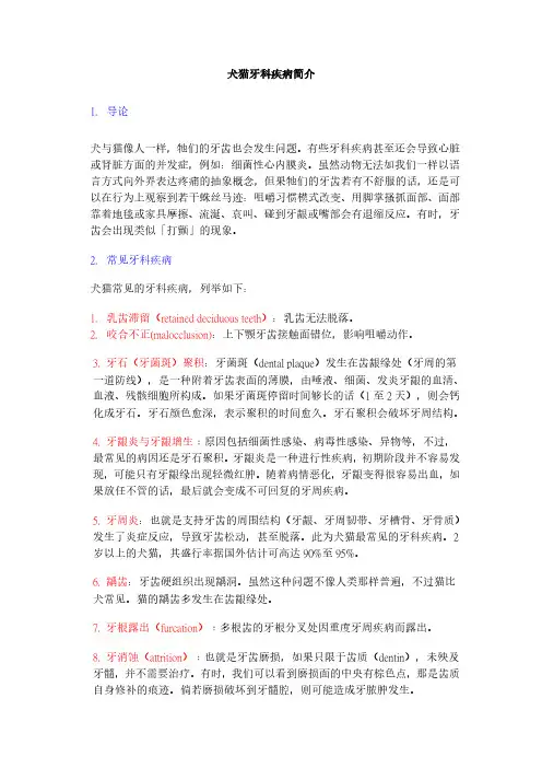 犬猫牙科疾病简介