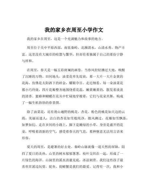 我的家乡在周至小学作文