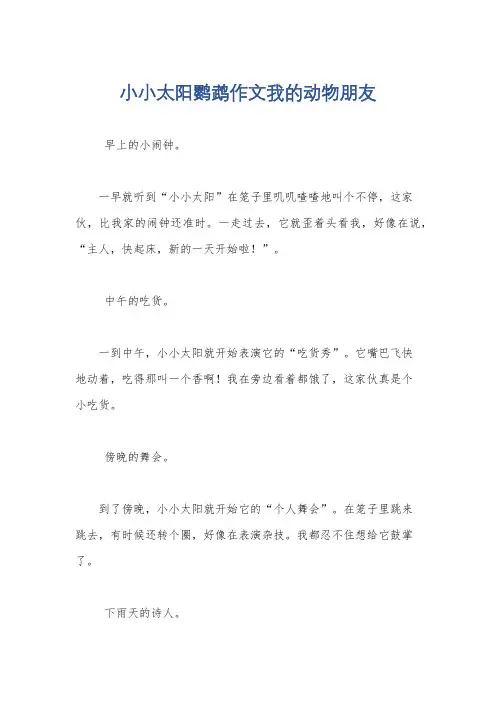 小小太阳鹦鹉作文我的动物朋友
