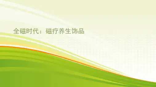 全磁时代：磁疗养生饰品
