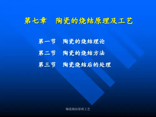 陶瓷烧结原理工艺 ppt课件