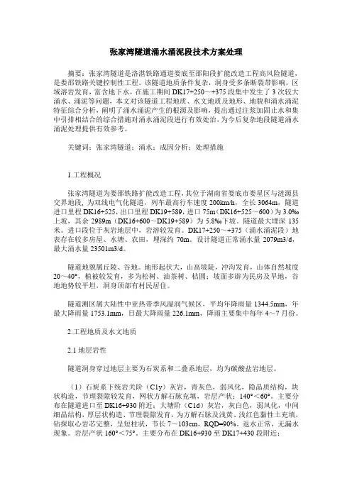 张家湾隧道涌水涌泥段技术方案处理
