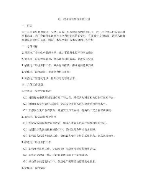 电厂技术监督年度工作计划