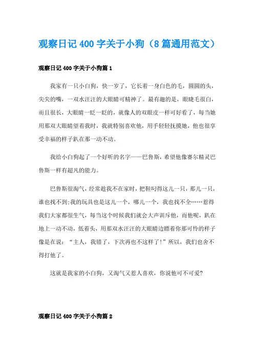 观察日记400字关于小狗(8篇通用范文)