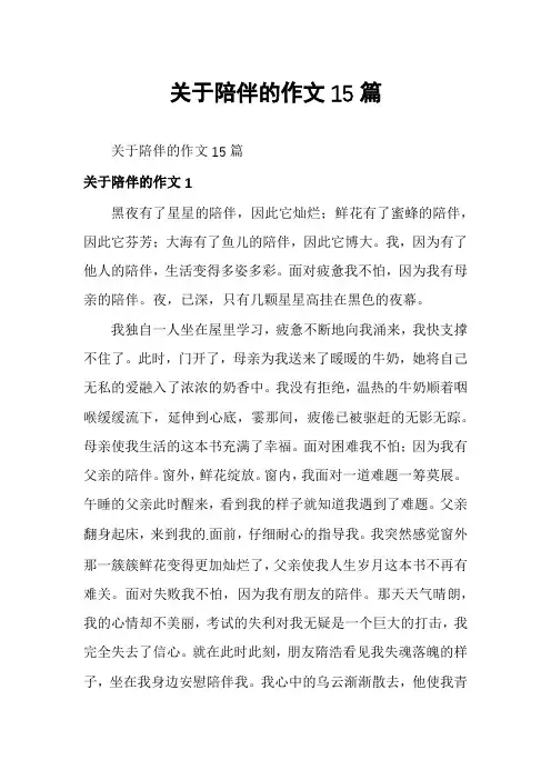 关于陪伴的作文15篇