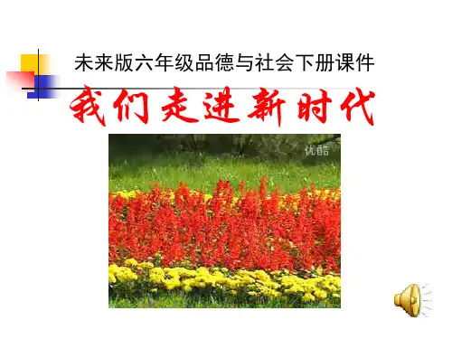 我们走进新时代精品PPT课件