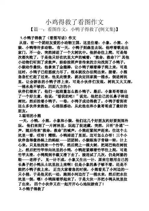鸡作文之小鸡得救了看图作文
