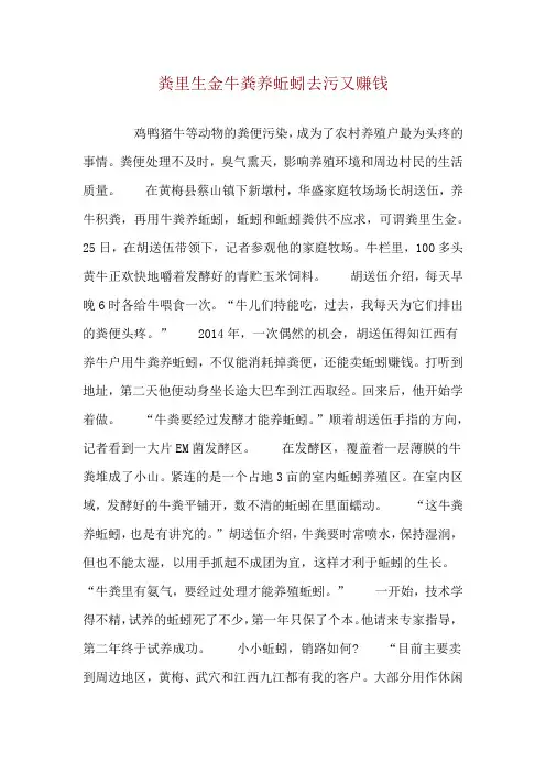 粪里生金 牛粪养蚯蚓去污又赚钱