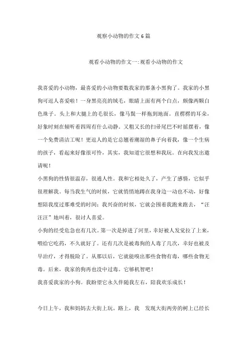 观察小动物的作文6篇