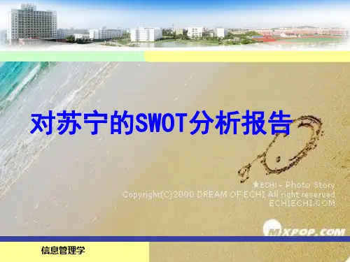 苏宁SWOT
